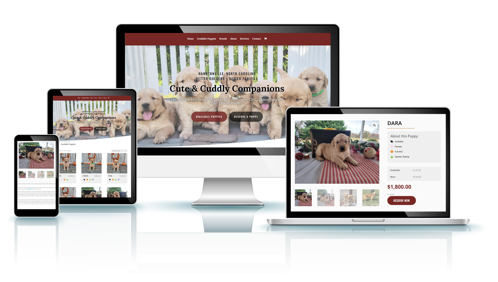 ecommerce store web design